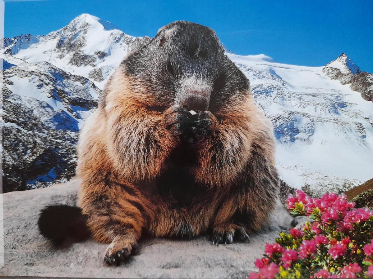 Appartement Hochmuth Ramsau im Zillertal Bagian luar foto